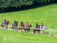EL160923-44 - Emma Lavelle Stable Visit